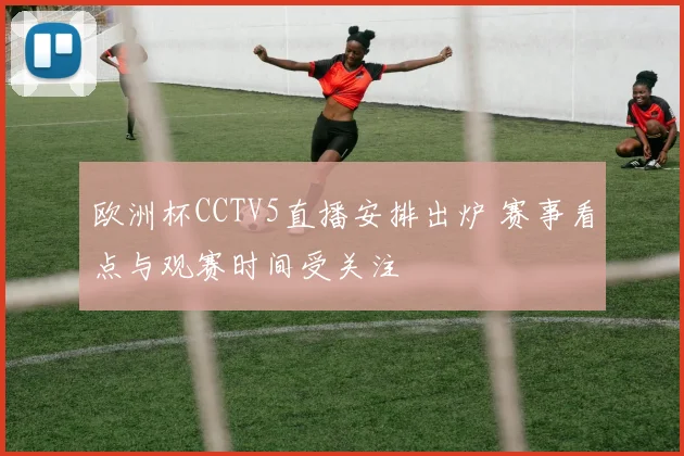 欧洲杯CCTV5直播安排出炉 赛事看点与观赛时间受关注
